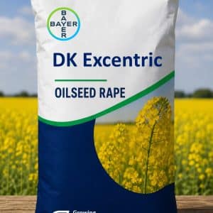 DK Excentric