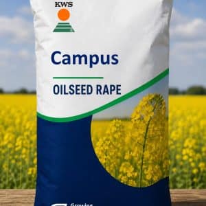 Campus