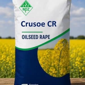 Crusoe CR