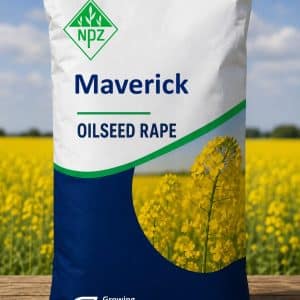 Maverick