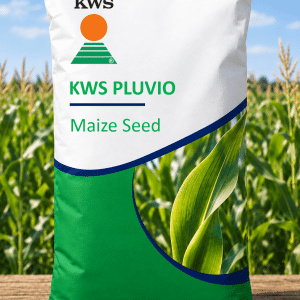 KWS PLUVIO