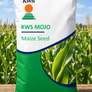 KWS MOJO